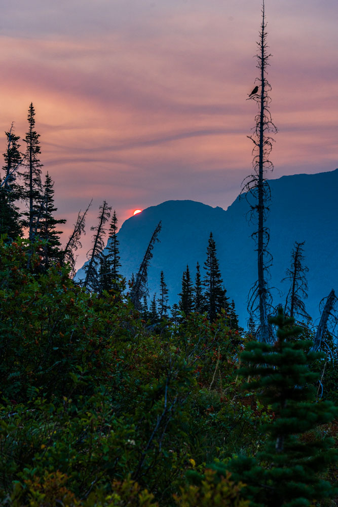 081723GrinnellGlacierNPMT06Small.jpg