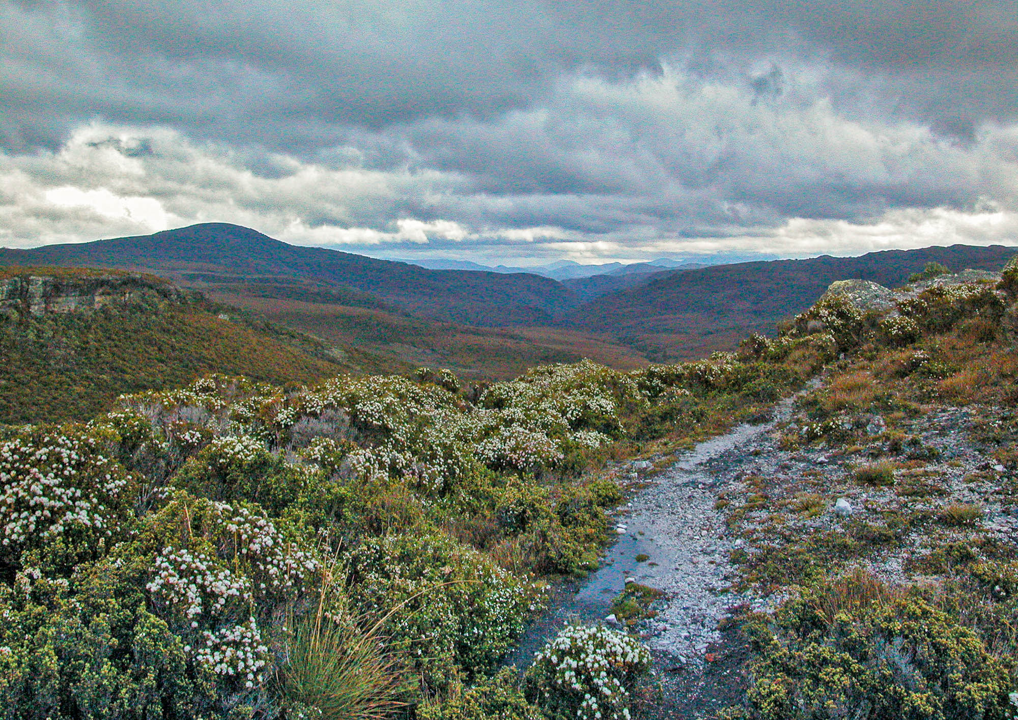 Overland Track : Tasmania, Australia