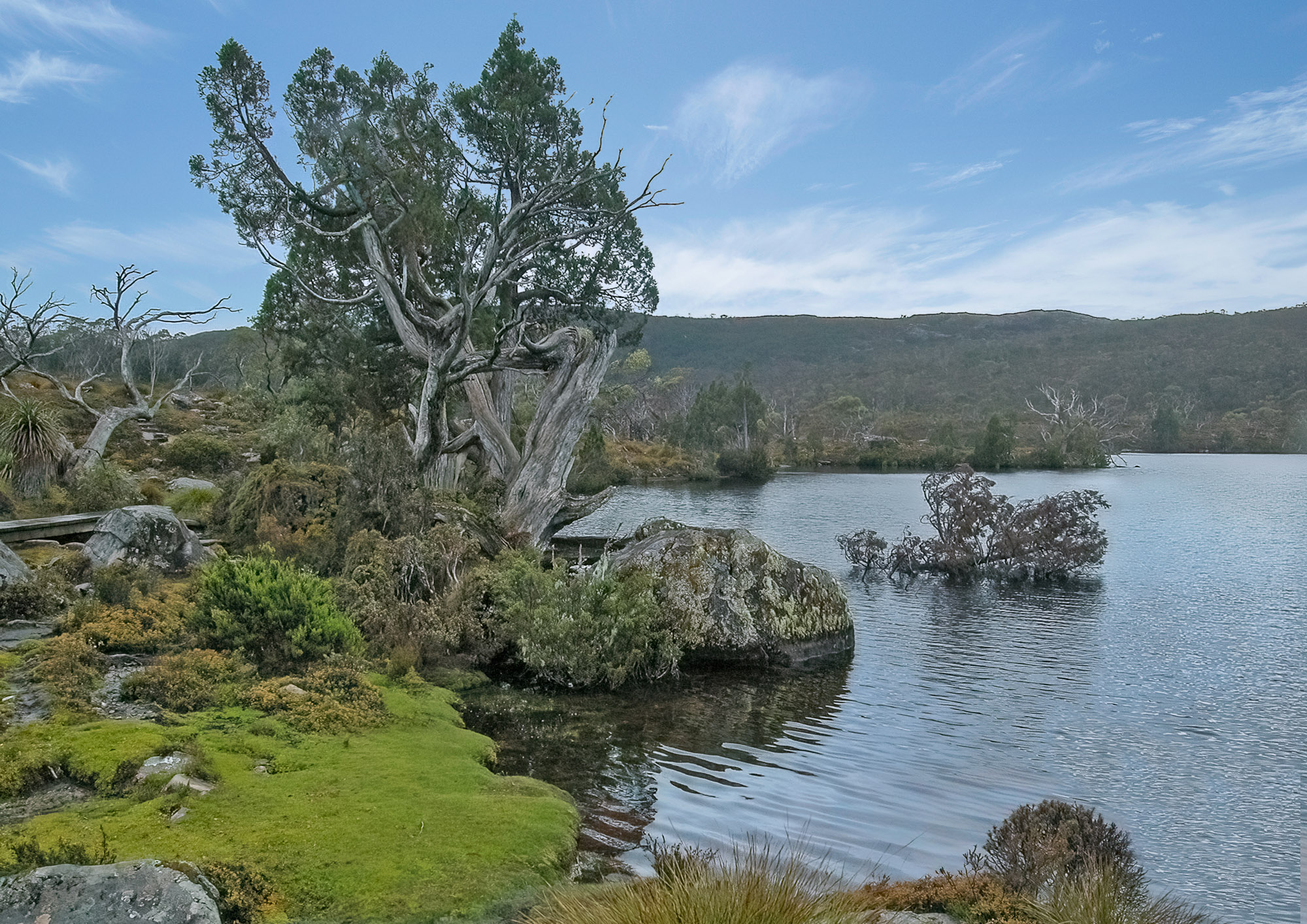 Overland Track : Tasmania, Australia