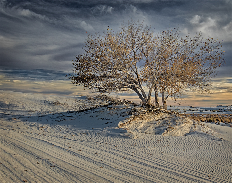 20151207_170547_White Sands_0317 12x16.jpg