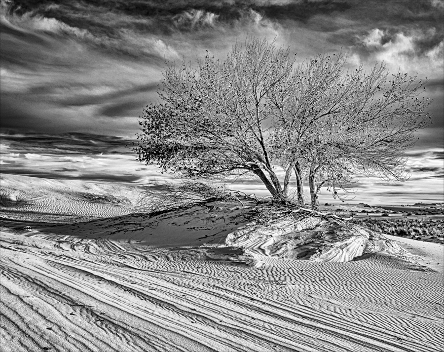 20151207_170547_White Sands_0317 Large Mono.jpg