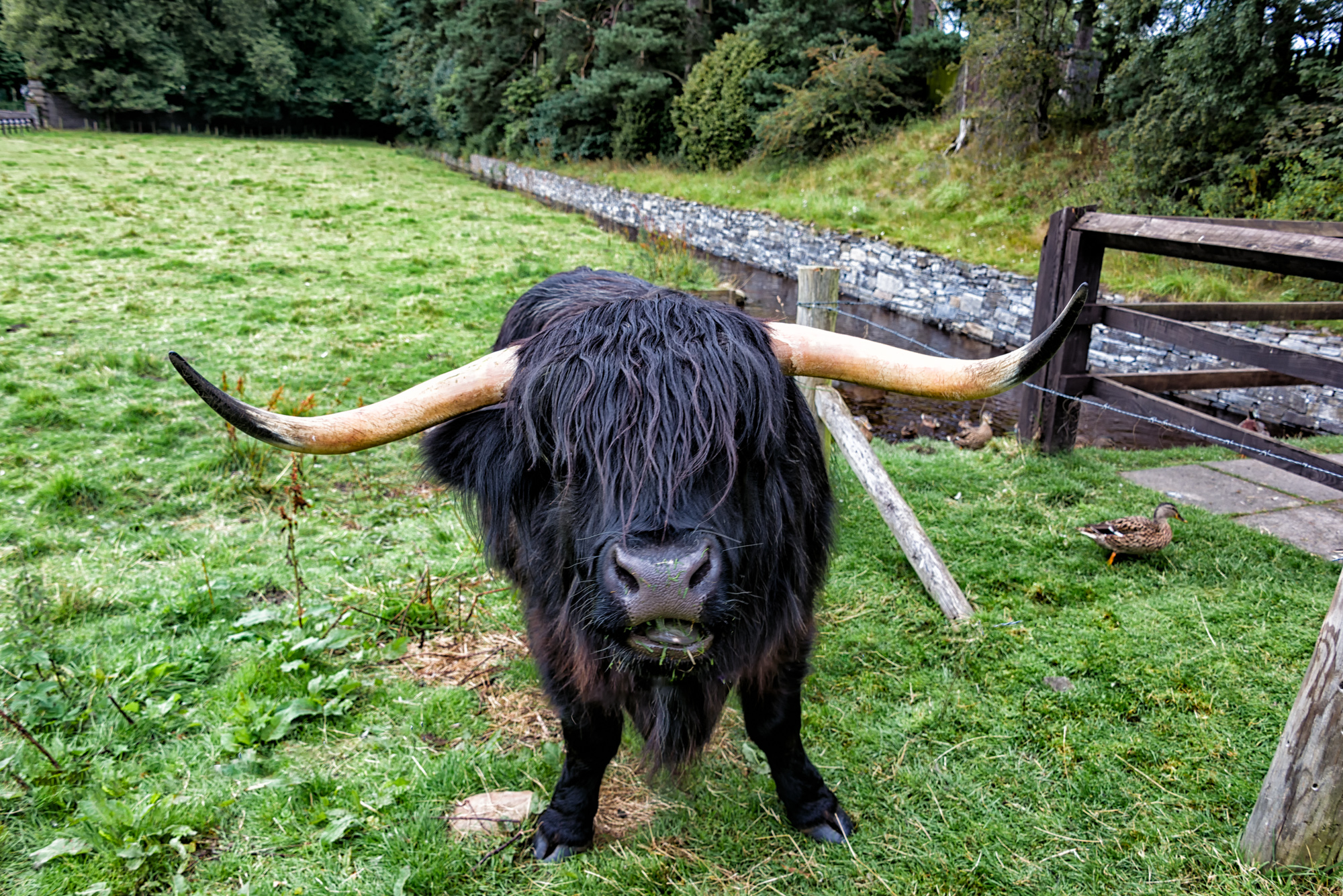 2017_08_15_Scotland_Ireland-0608-Edit.jpg