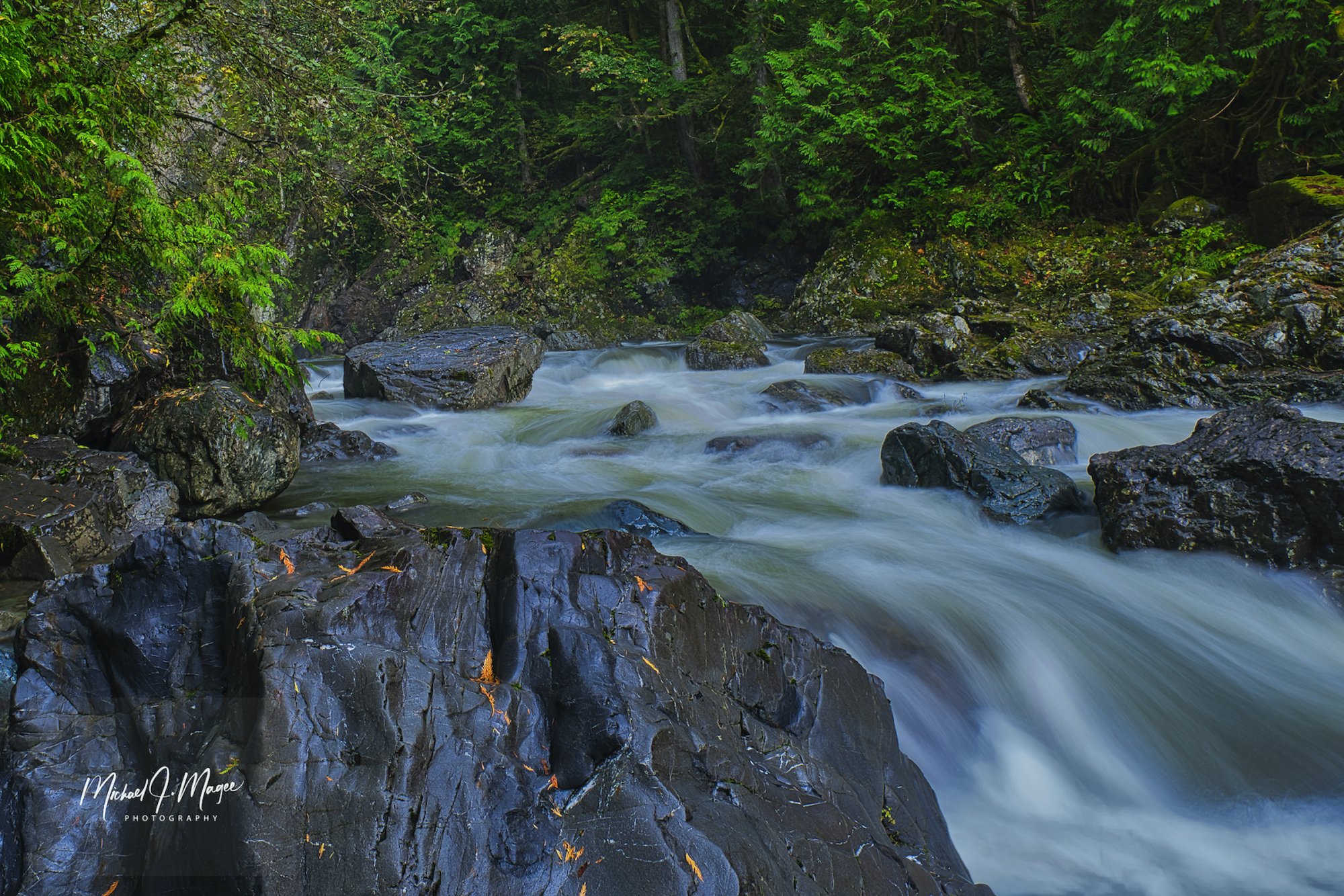 2020-10-16 A RIVER WITH ROCKS AND EVERGREENS IN THE PACIFIC NORTHWEST 2 WATERMARKED REDONE copy.jpeg