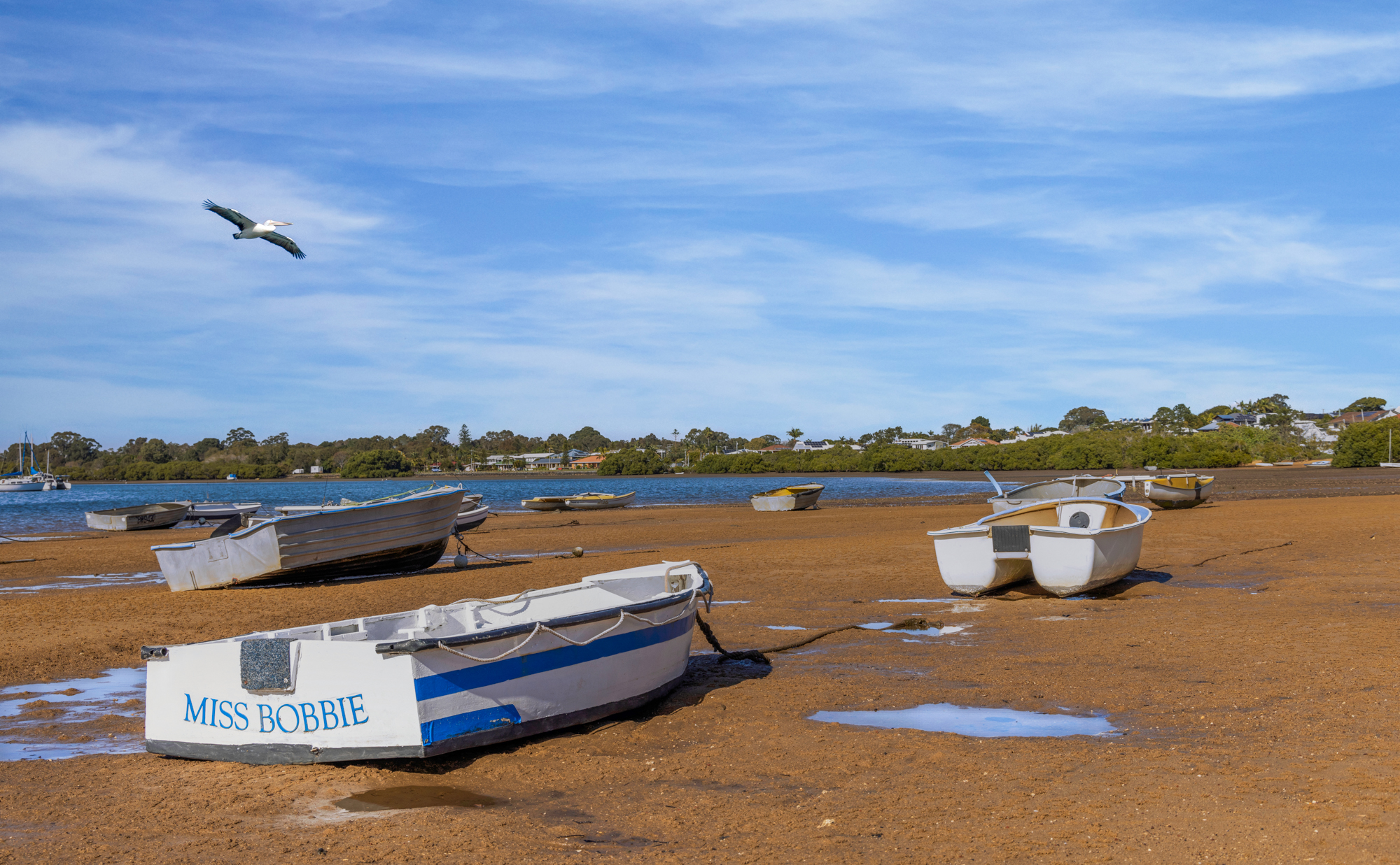 Low Tide : Southern Moreton Bay, Queensland