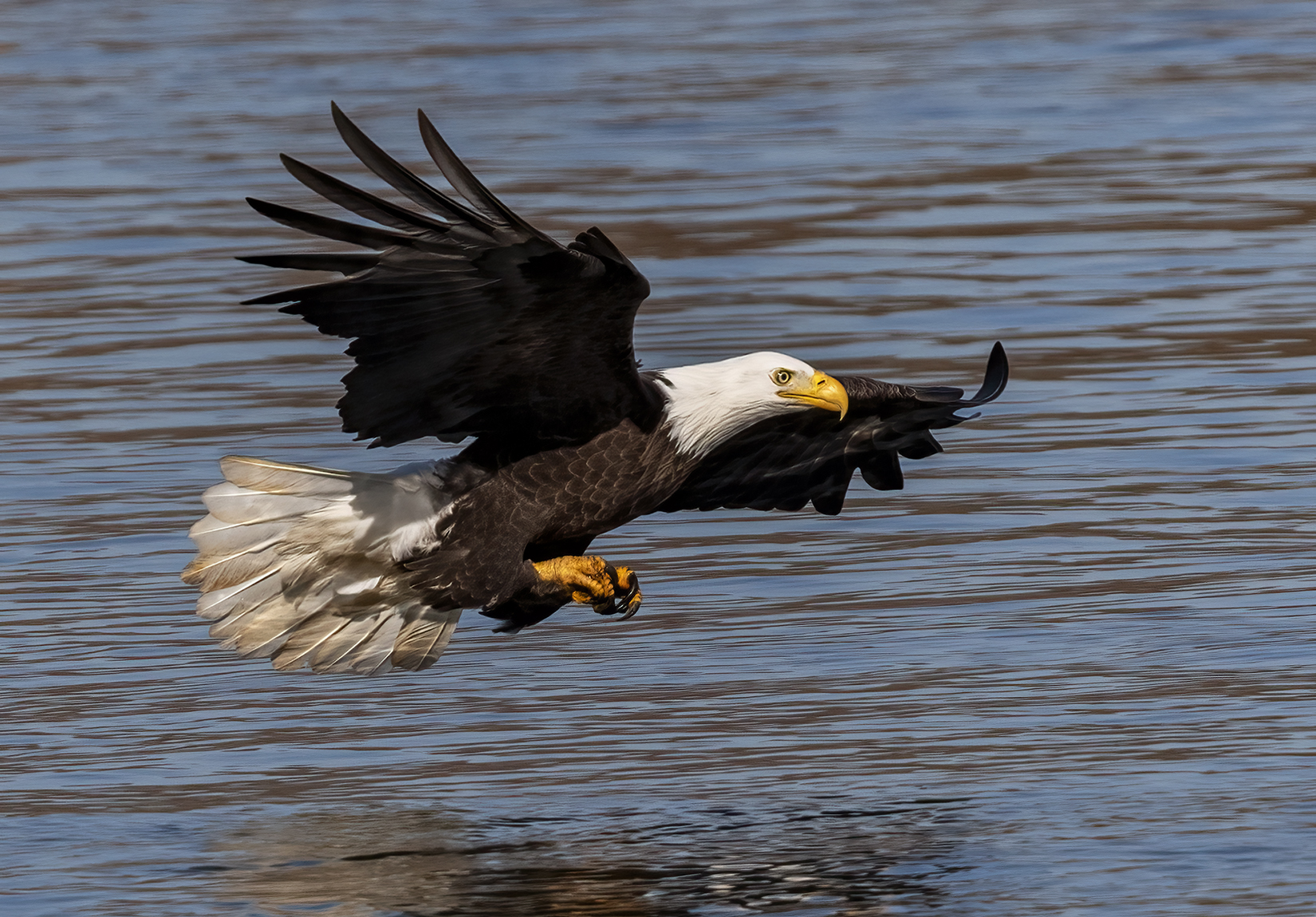 2023-11-16 Conowingo Dam_109.jpg