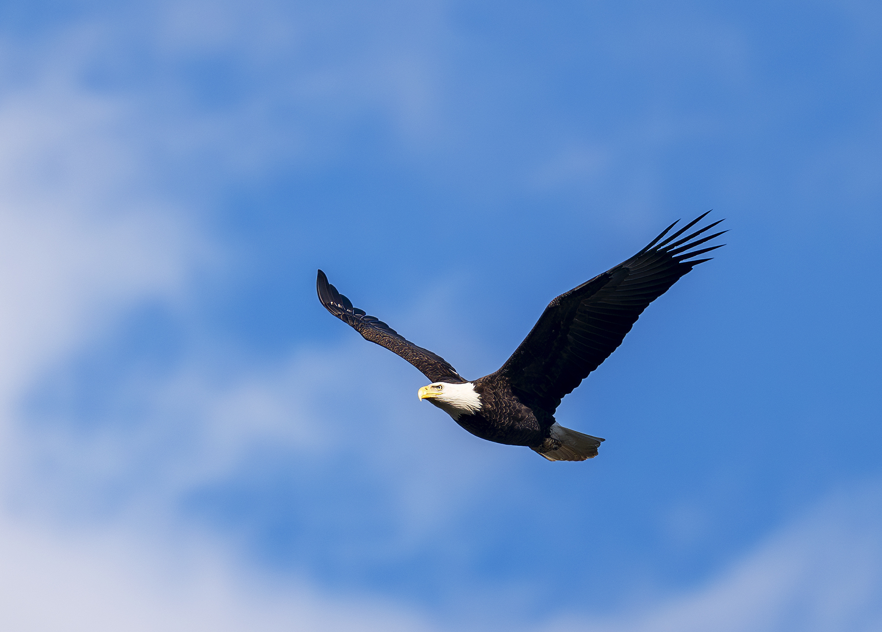 2024-12-30 Cionowingo Dam_029-Enhanced-NR.jpg