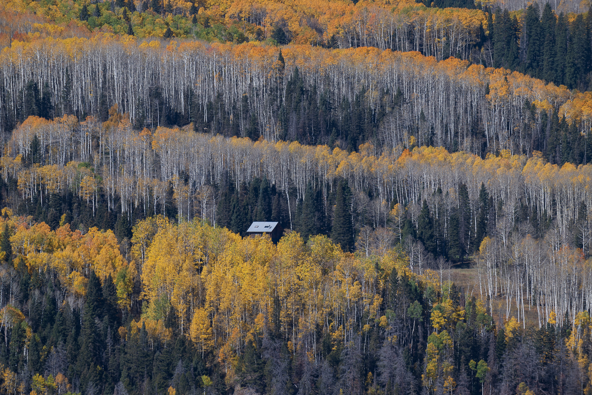 20241005_Telluride_Z9_0111.jpg