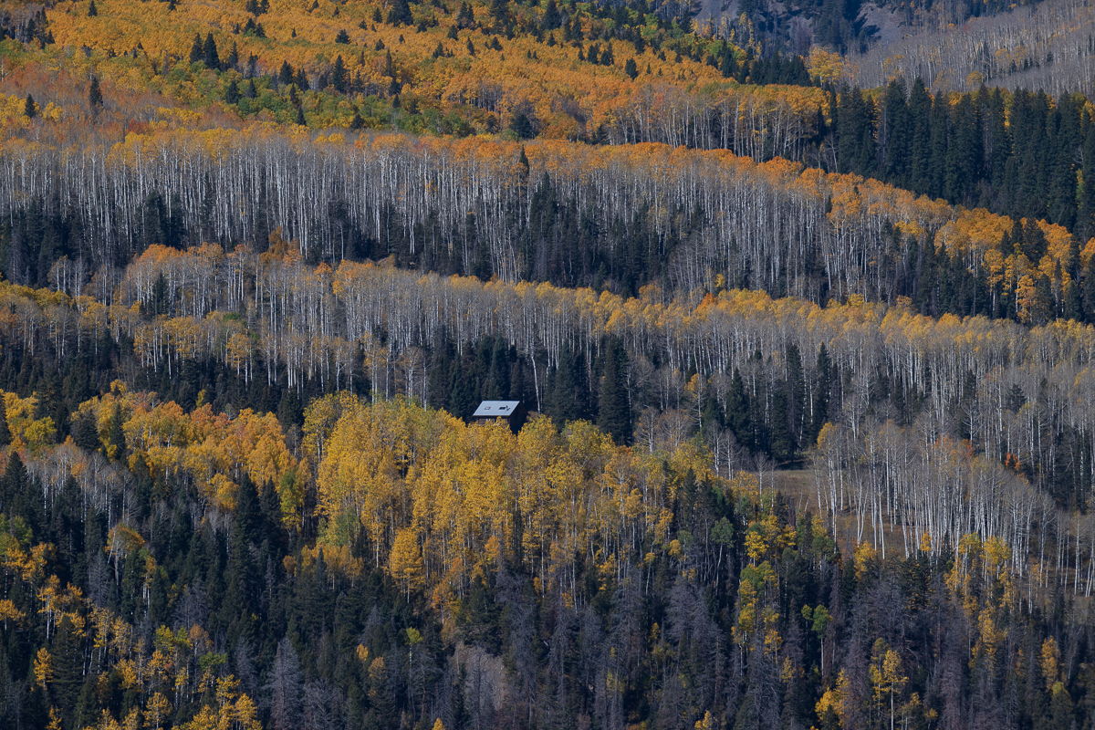 20241005_Telluride_Z9_0112.jpg