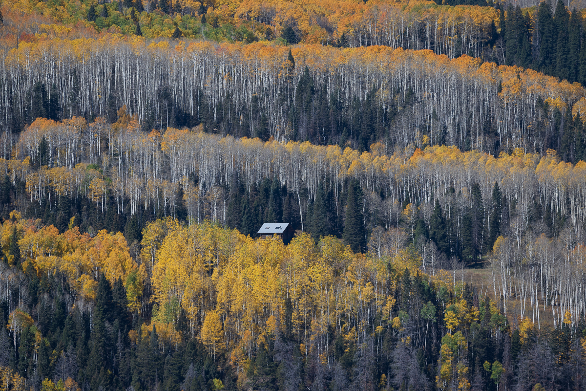 20241005_Telluride_Z9_0113.jpg