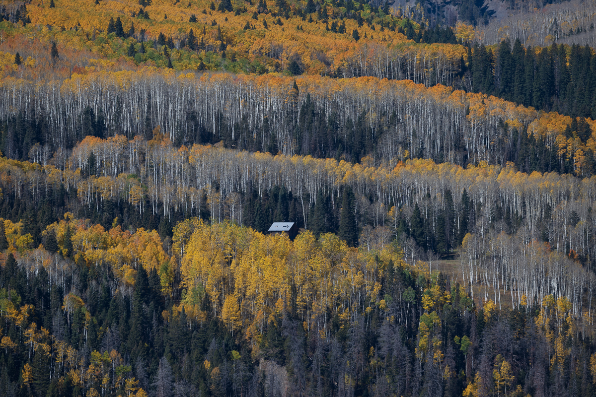 20241005_Telluride_Z9_0115.jpg