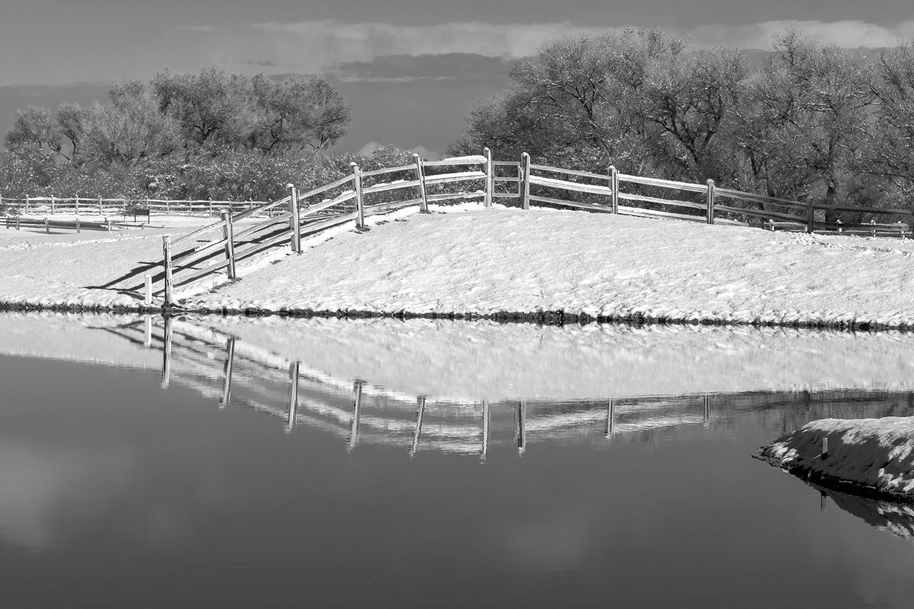 220101 190102_TUBAC_FENCE_REFLECTION_D85_7339.jpg