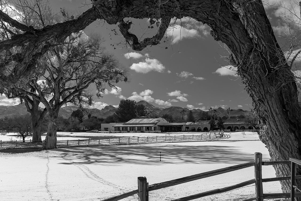 220101 190102_TUBAC_GOLF_D85_7529 copy.jpg