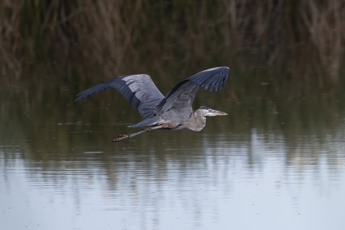 220831 Poudre GBH DSC_5982-Resize.jpg