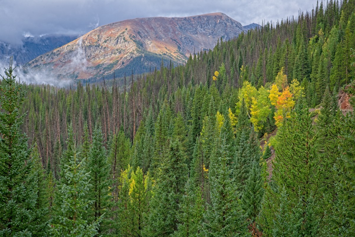 221003 Long Draw Misty Mt DSC_0676-0678_HDR EFFECTS-Resize.jpg