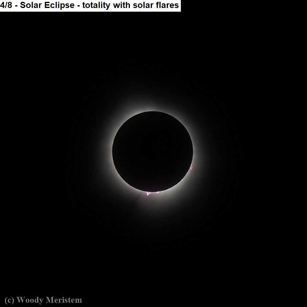 4-8 Solar Eclipse - totality with solar flares.JPG