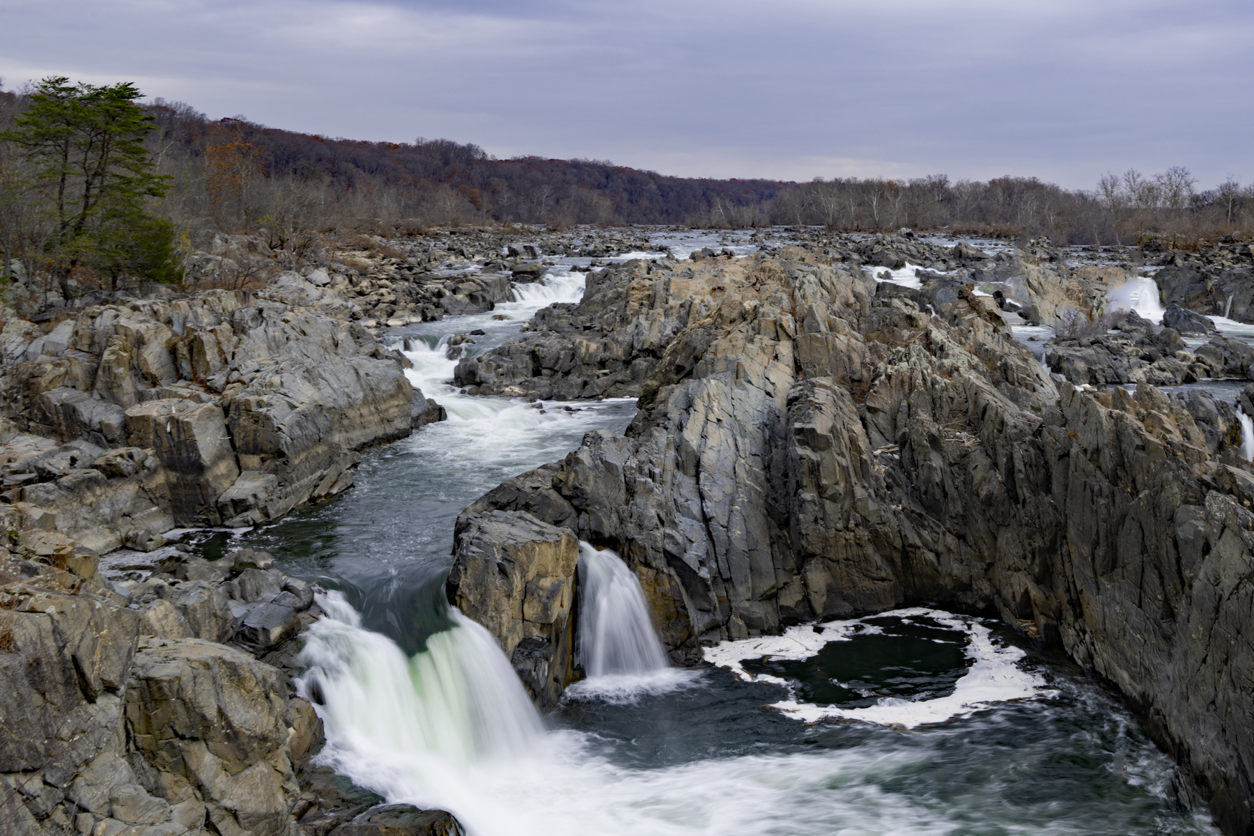 (A) FALLS AT GREAT FALLS NP VIRGINIA _DSC0250.jpg