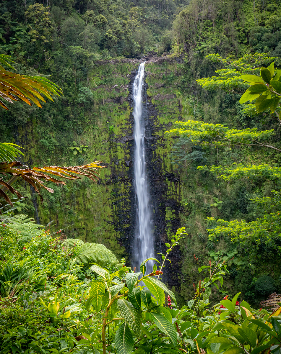 Akaka Fall Final BCG P1042425.jpg