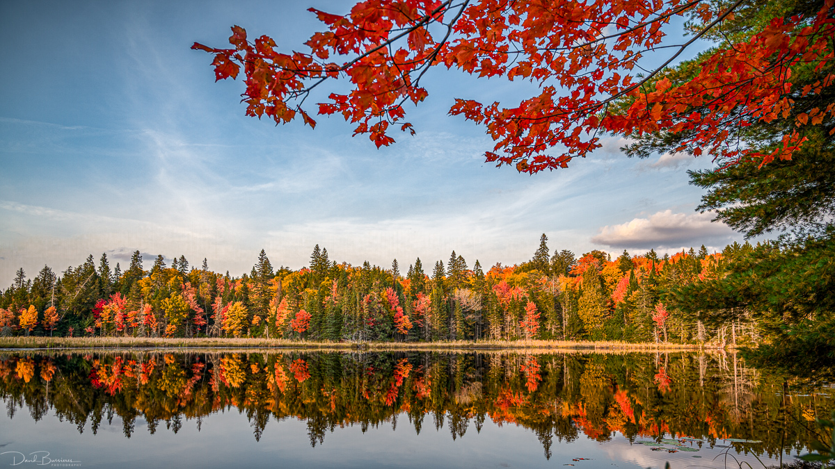 Algonquin Reflection  1200 pix.jpg