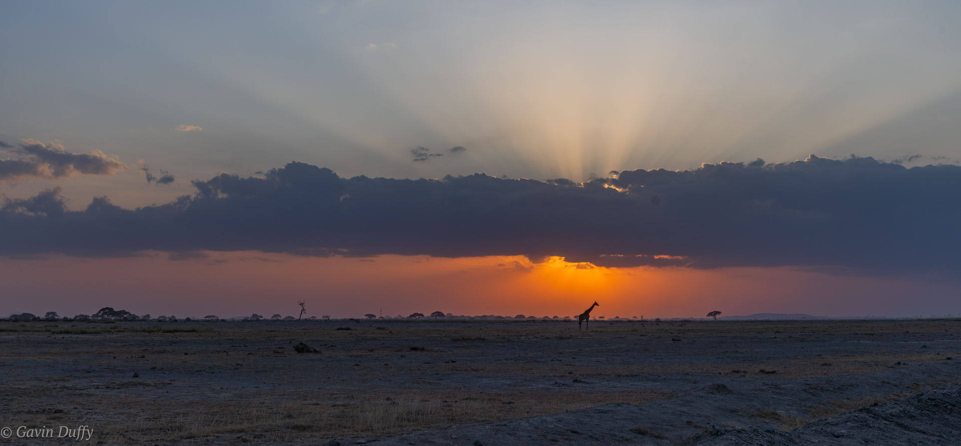 Amboseli Sunset (1 of 1).jpg