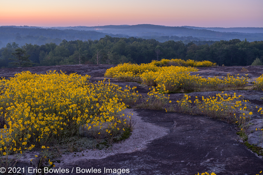 Arabia Mountain_9-27-2021_351139.jpg