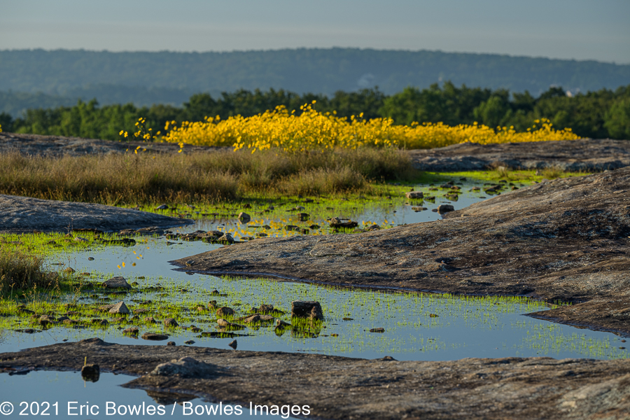 Arabia Mountain_9-27-2021_351241.jpg