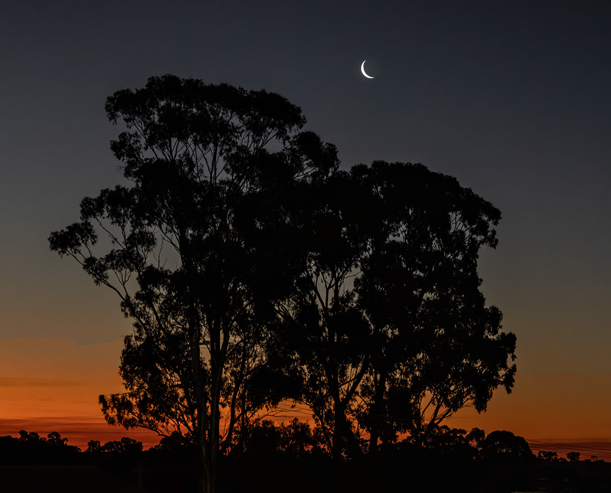 Australian Sunset BCG Z7I_5360.jpg