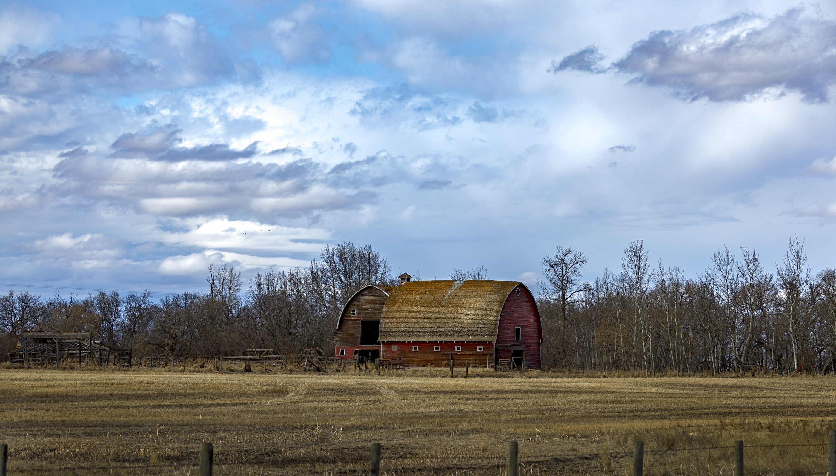 Barn in Alberta-2.jpg