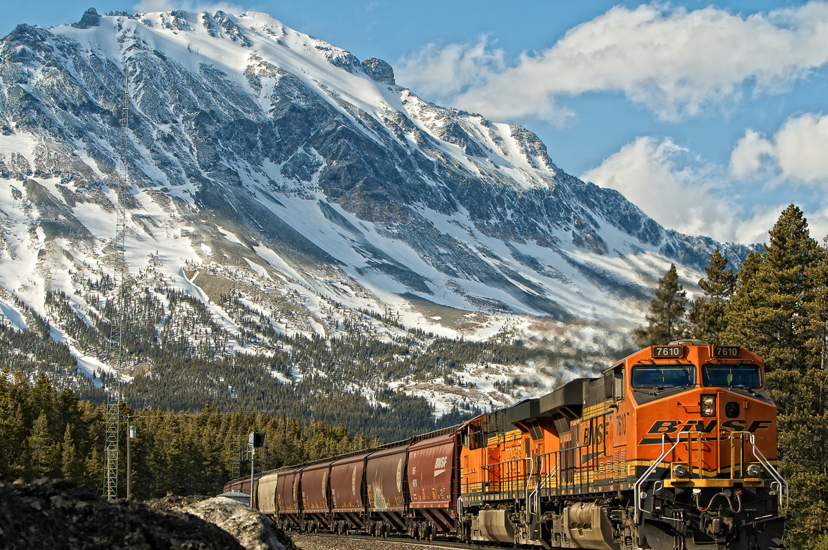 BCM_BNSF Westbound Grain_Marias (1).jpg