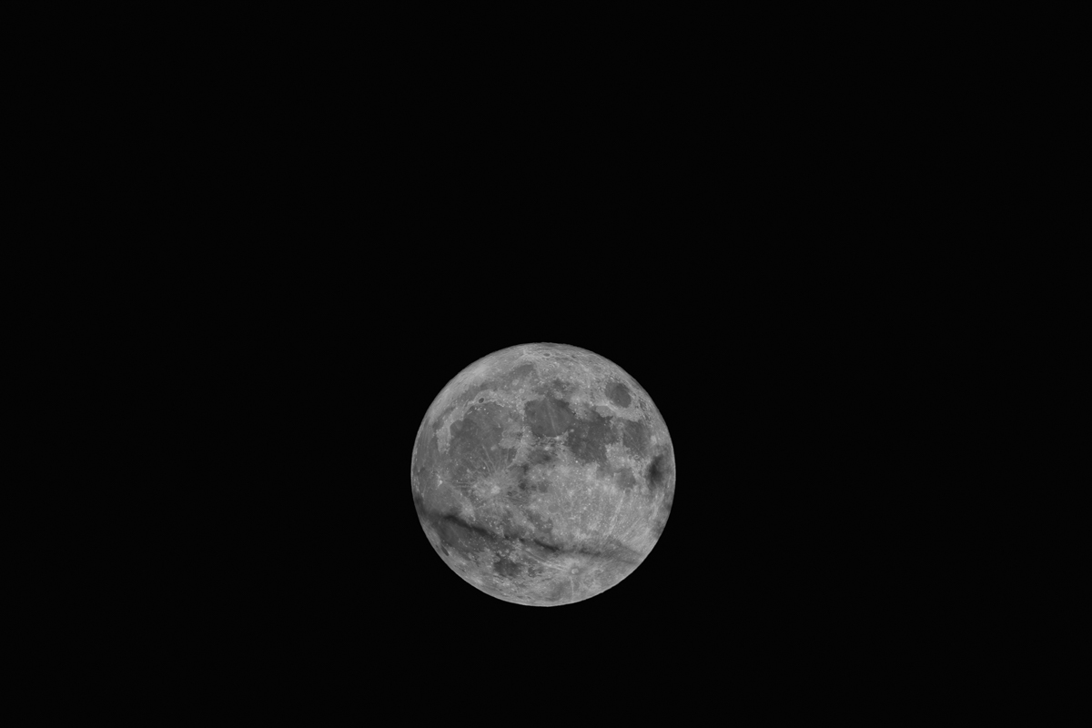 Blue Moon_2023-08-30_45_.jpg