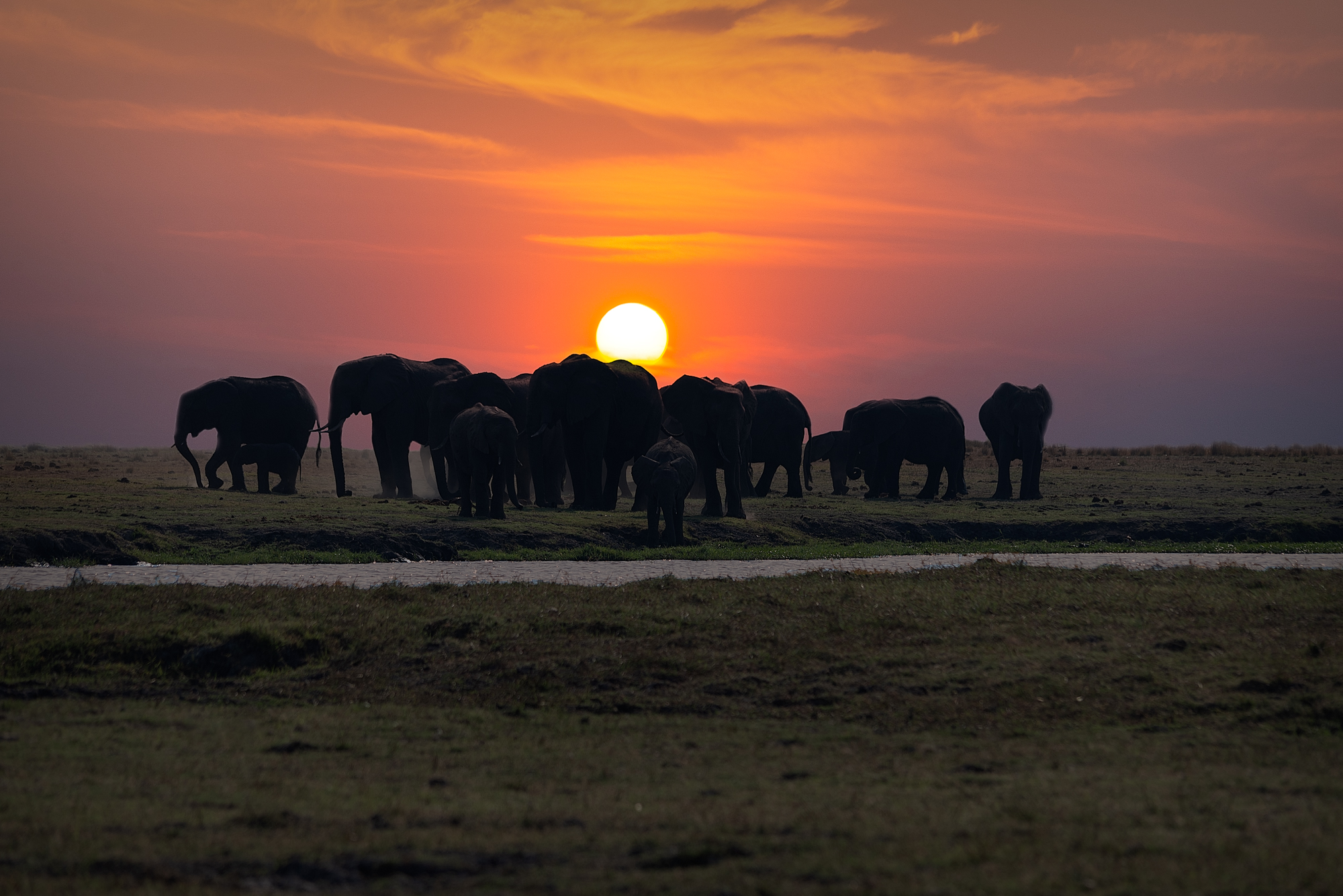 Botswana Sunset.jpg