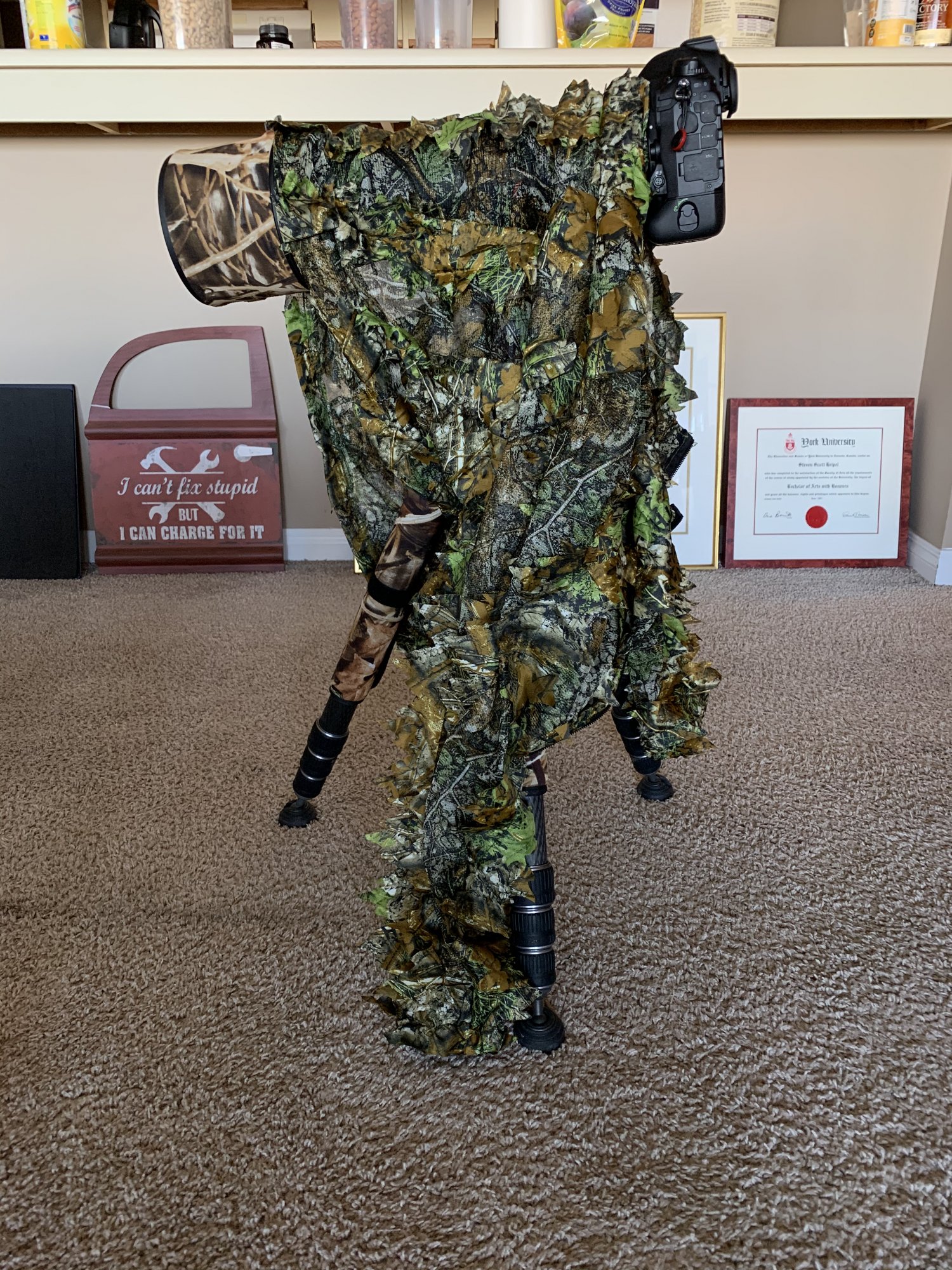 camo cam.jpg