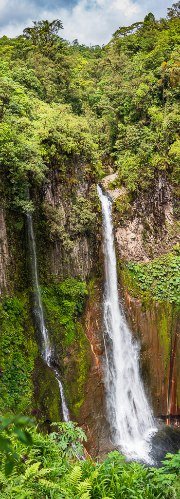 Catarata del Toro Waterfall_sm.jpg