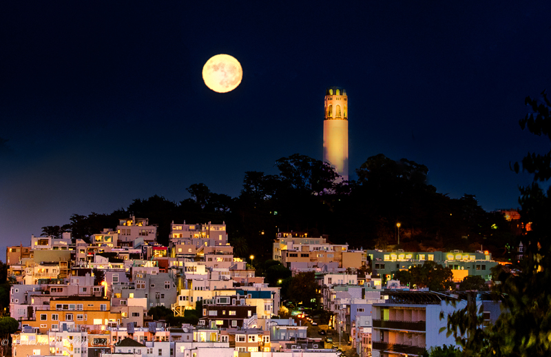 COIT TOWER MOONRISE 10-30-20.jpg