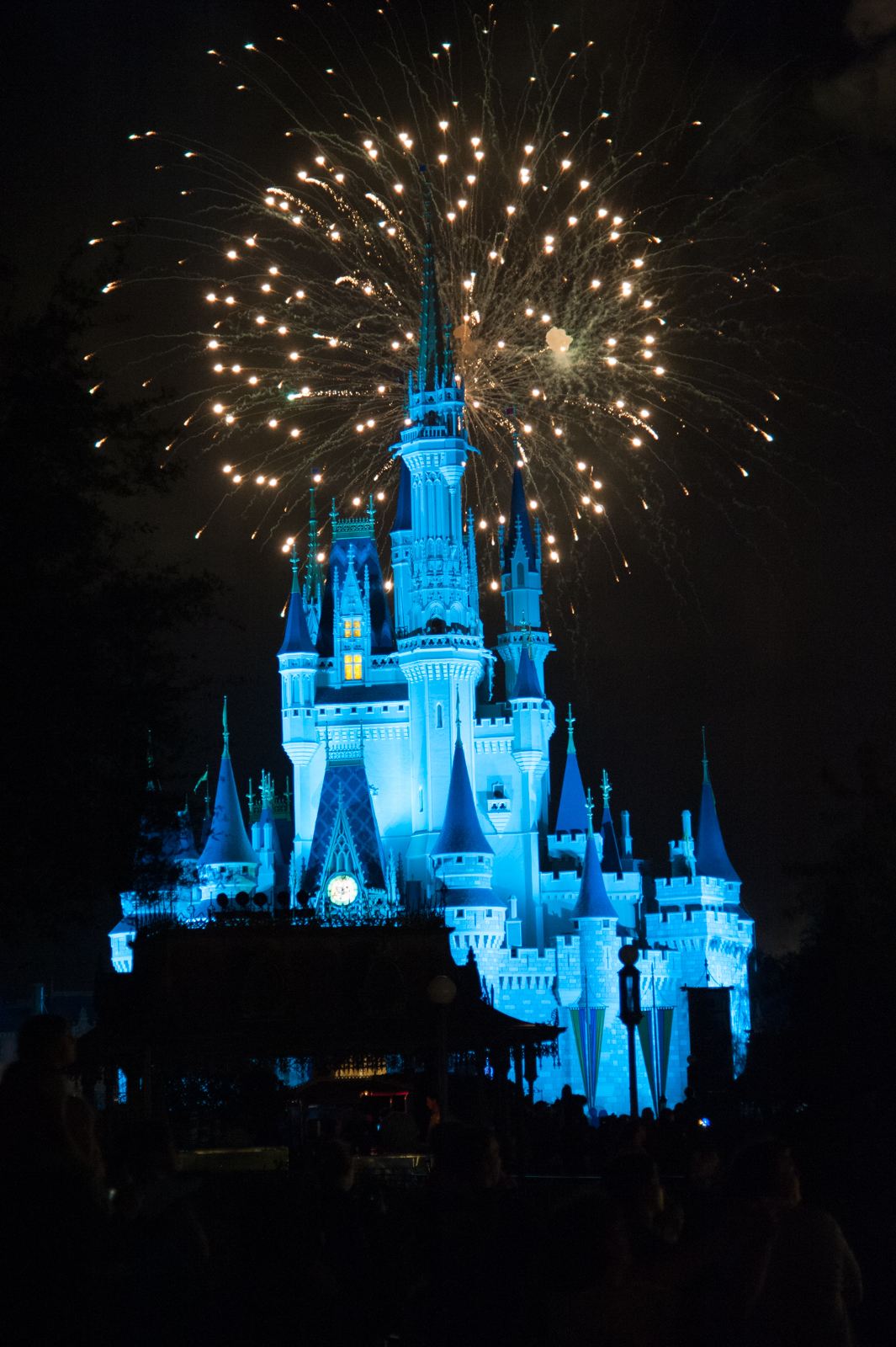 Disney Fireworks-1.jpg