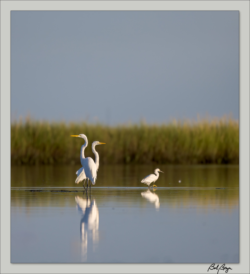 egret-lake-1.jpg