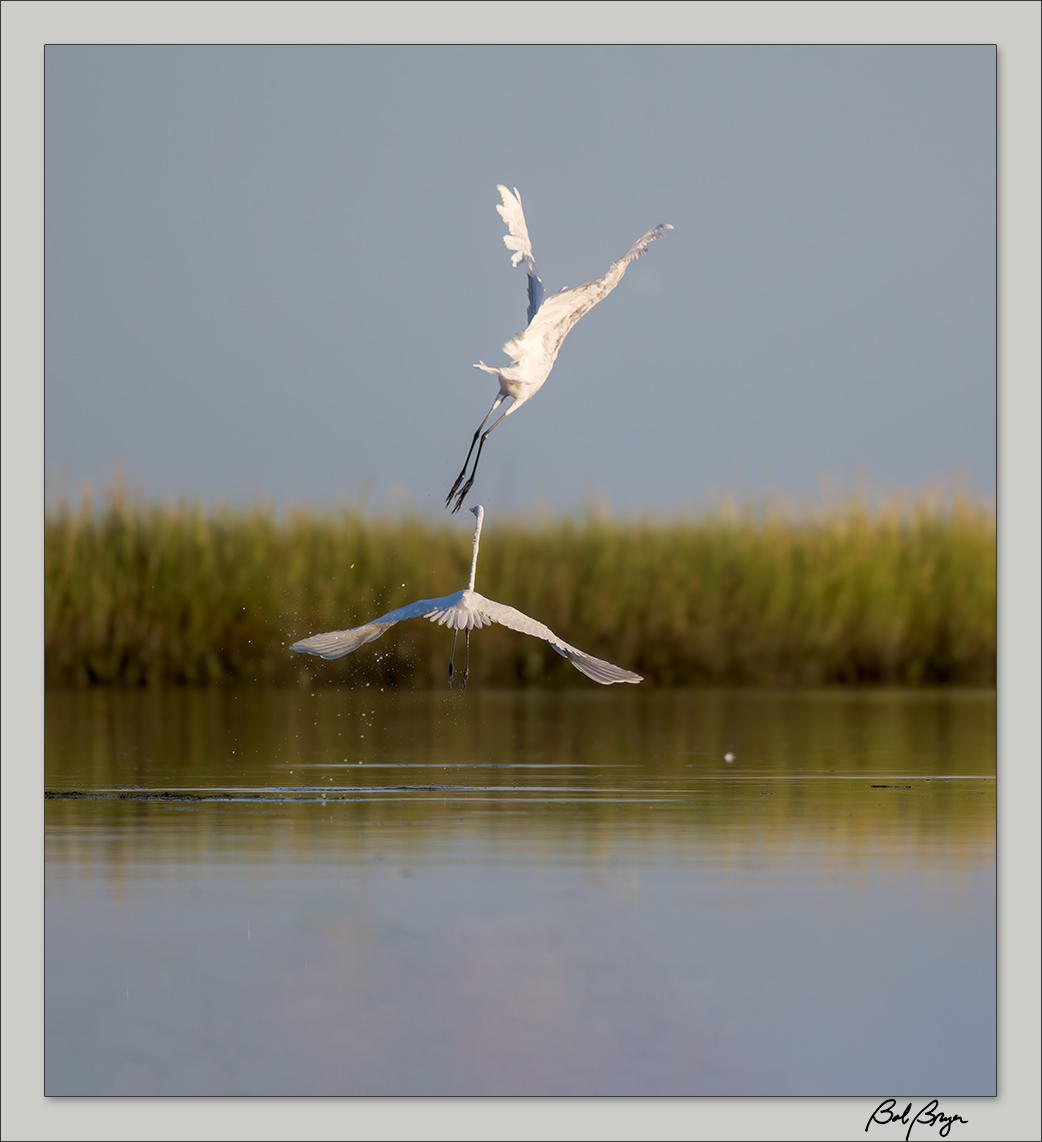egret-lake-10.jpg