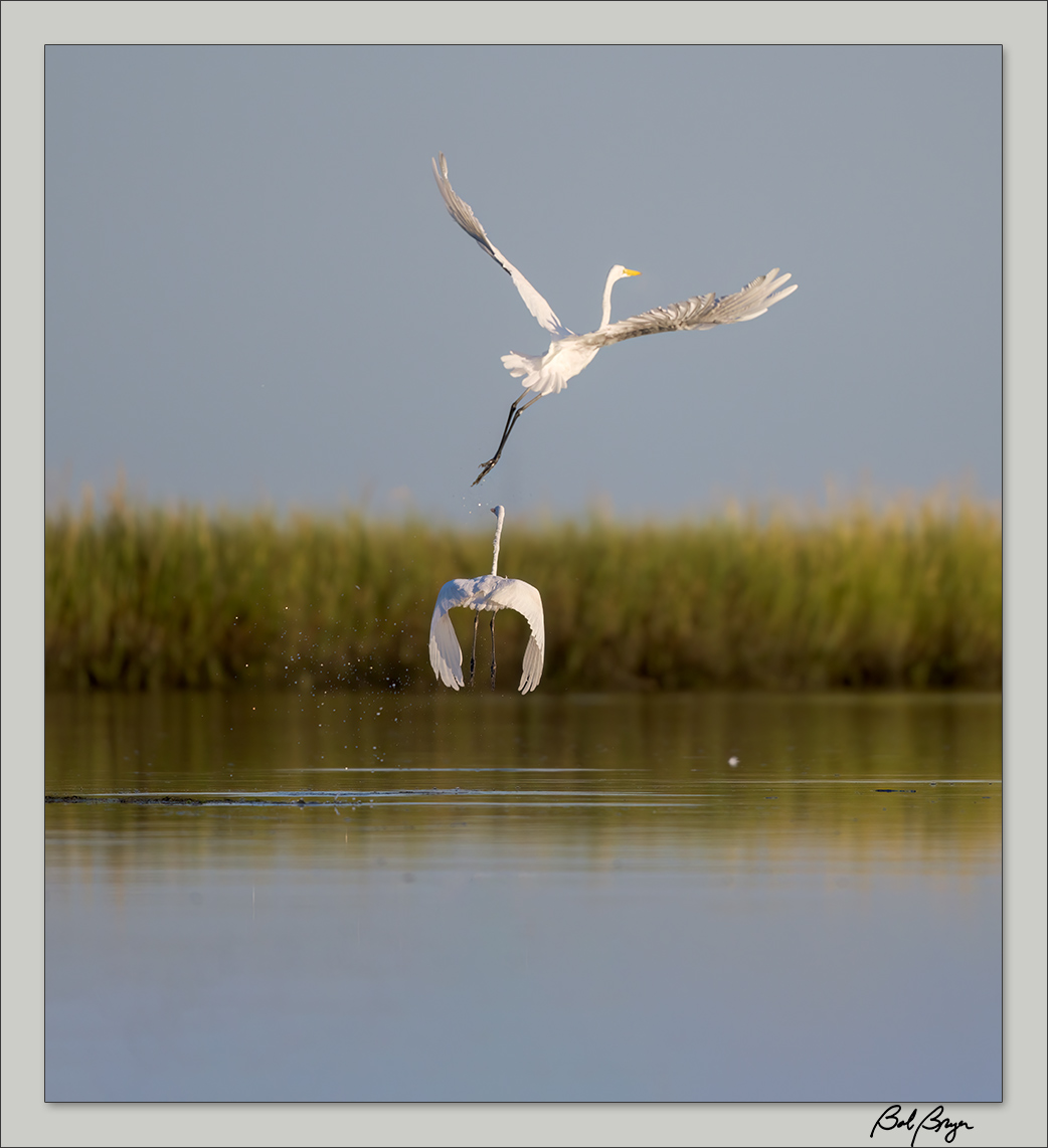 egret-lake-11.jpg