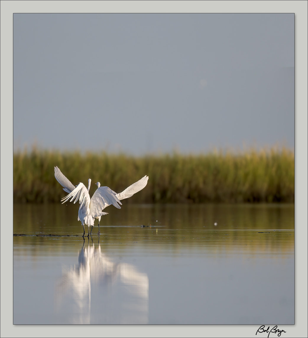 egret-lake-2.jpg