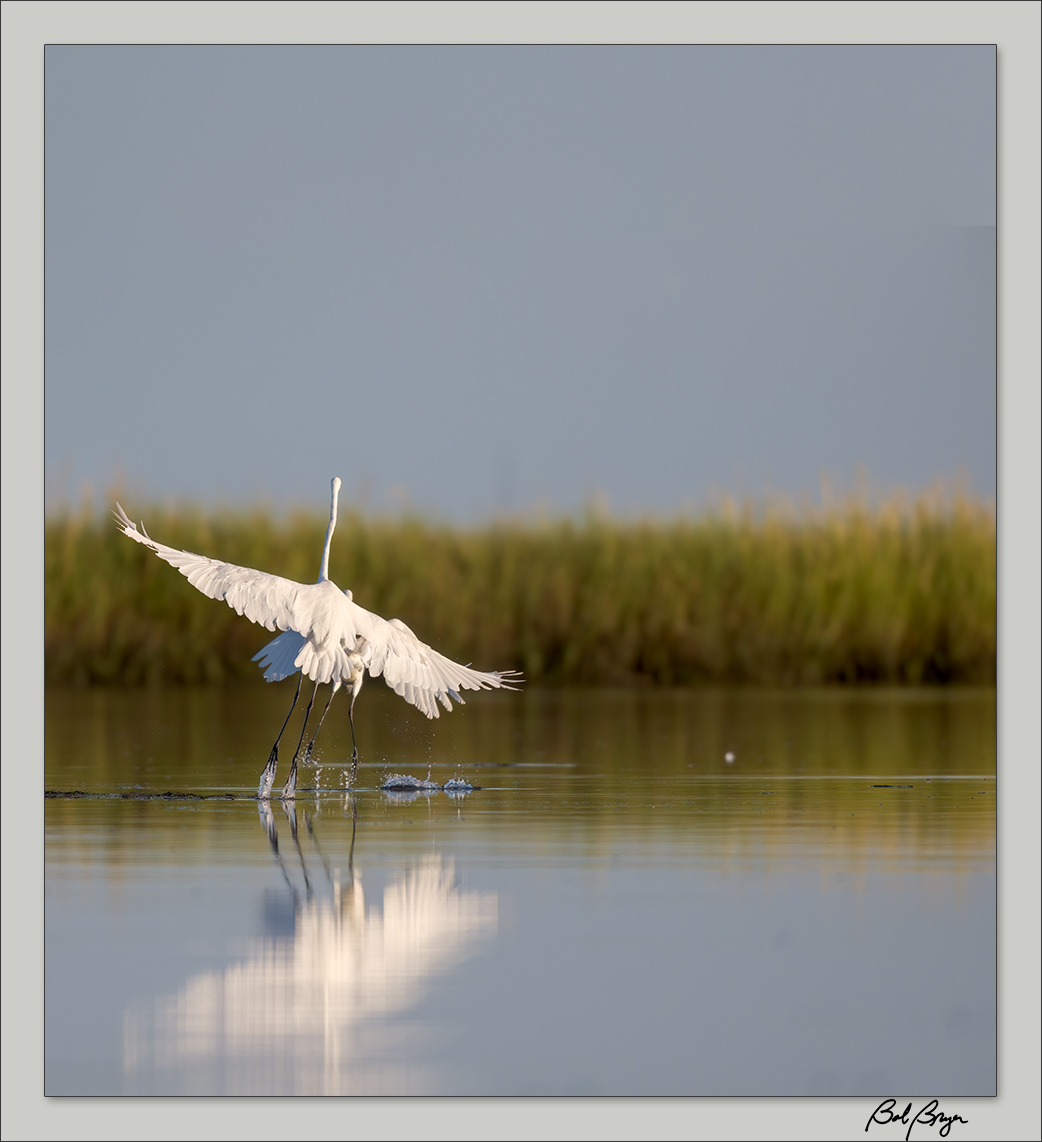 egret-lake-5.jpg