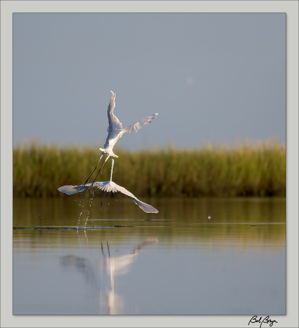 egret-lake-8.jpg