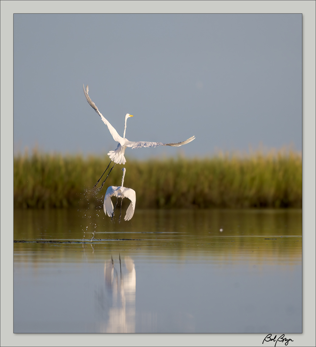 egret-lake-9.jpg