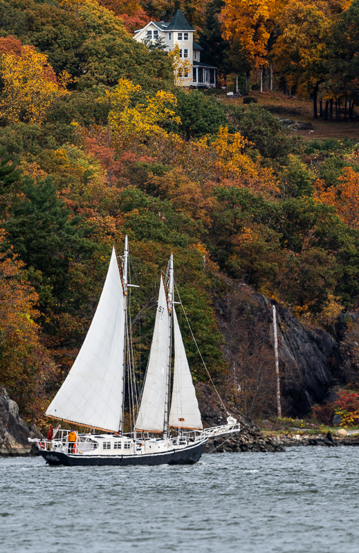 fall_foliage_bear_mountain-6.jpg