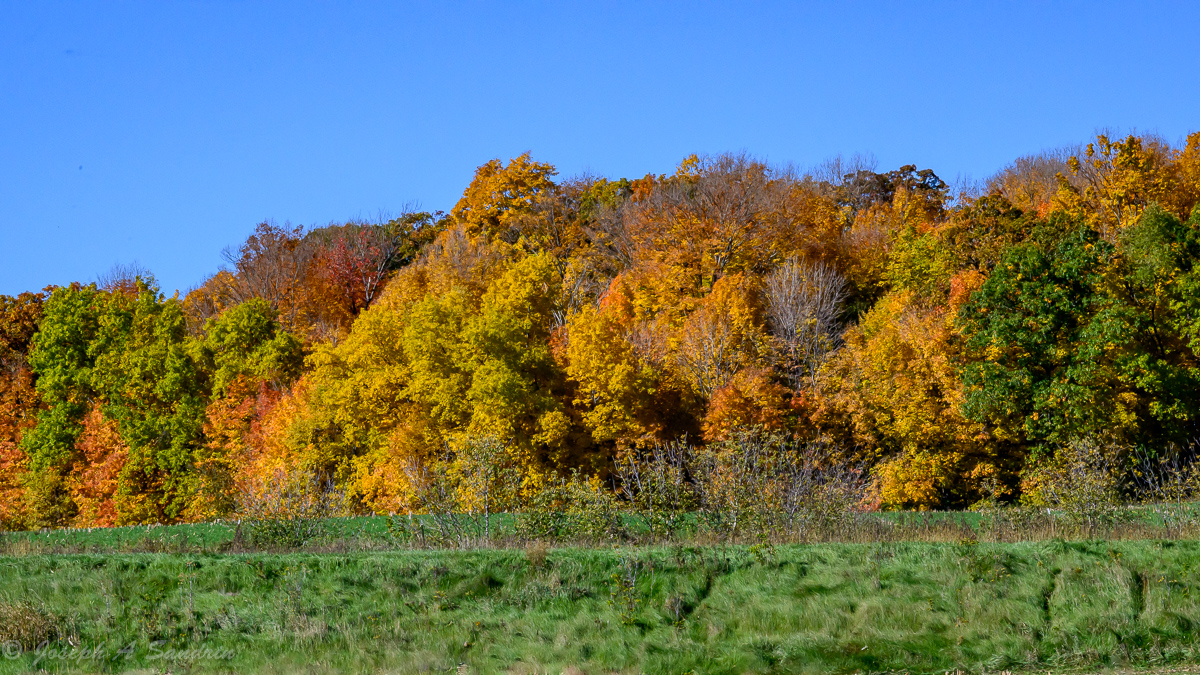 FallColors_02.jpg