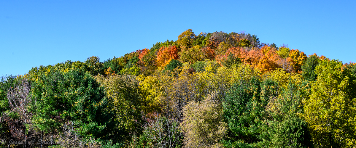 FallColors_06.jpg