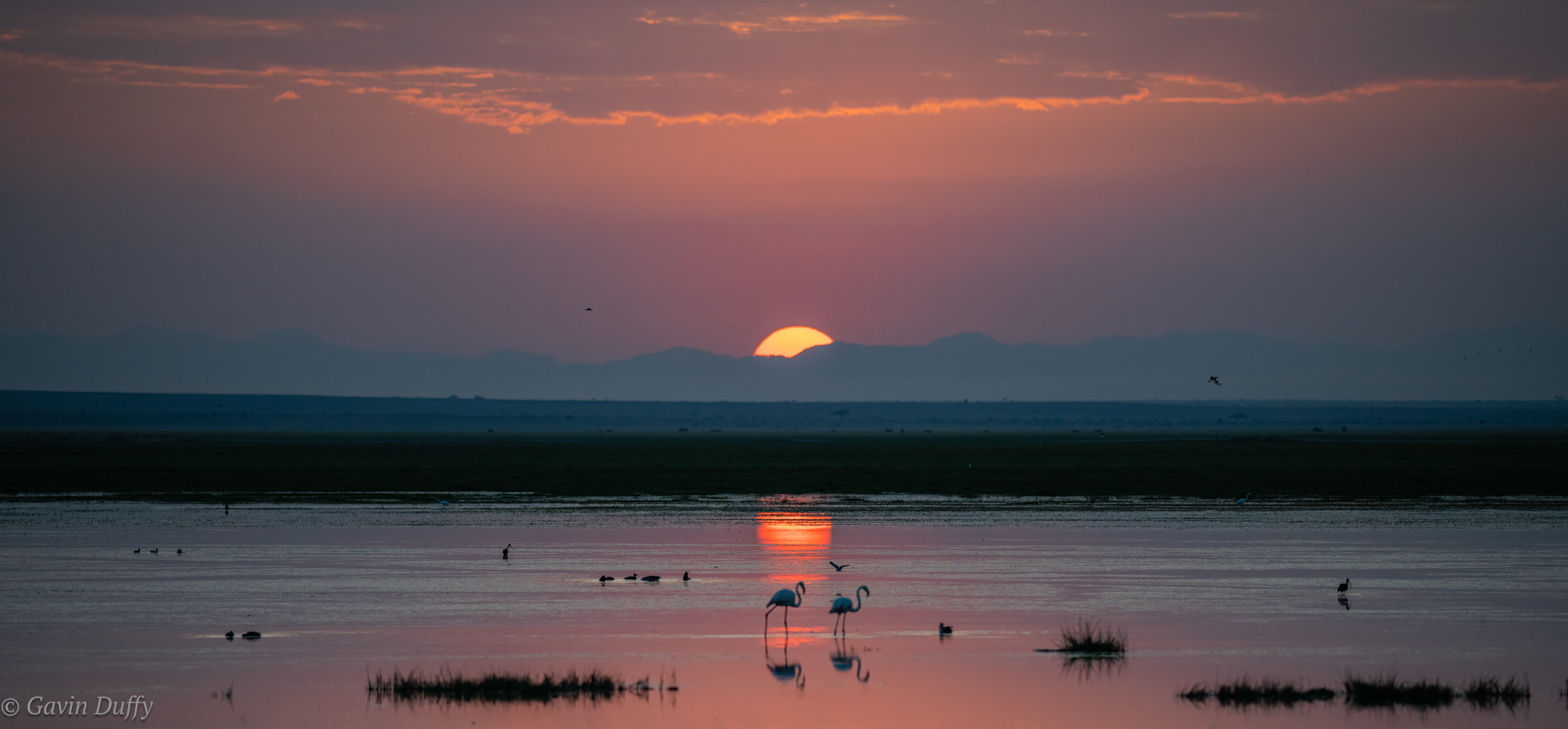  Flamingo sunset (1 of 1).jpg