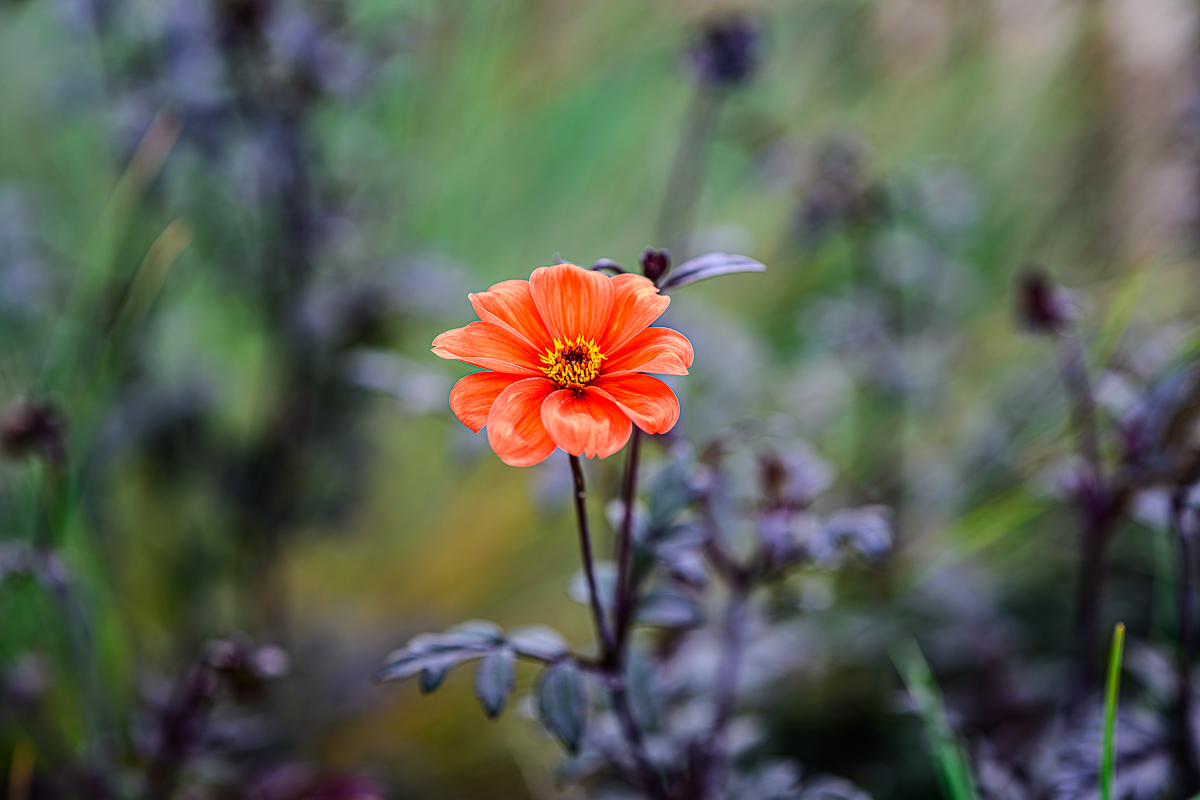 floral centerpiece-2.jpg