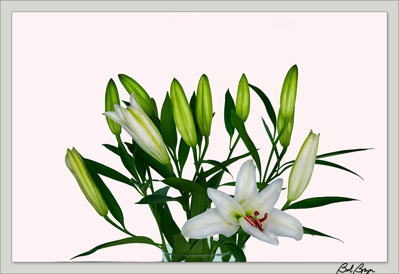 flowers-lilies-7-13.jpg