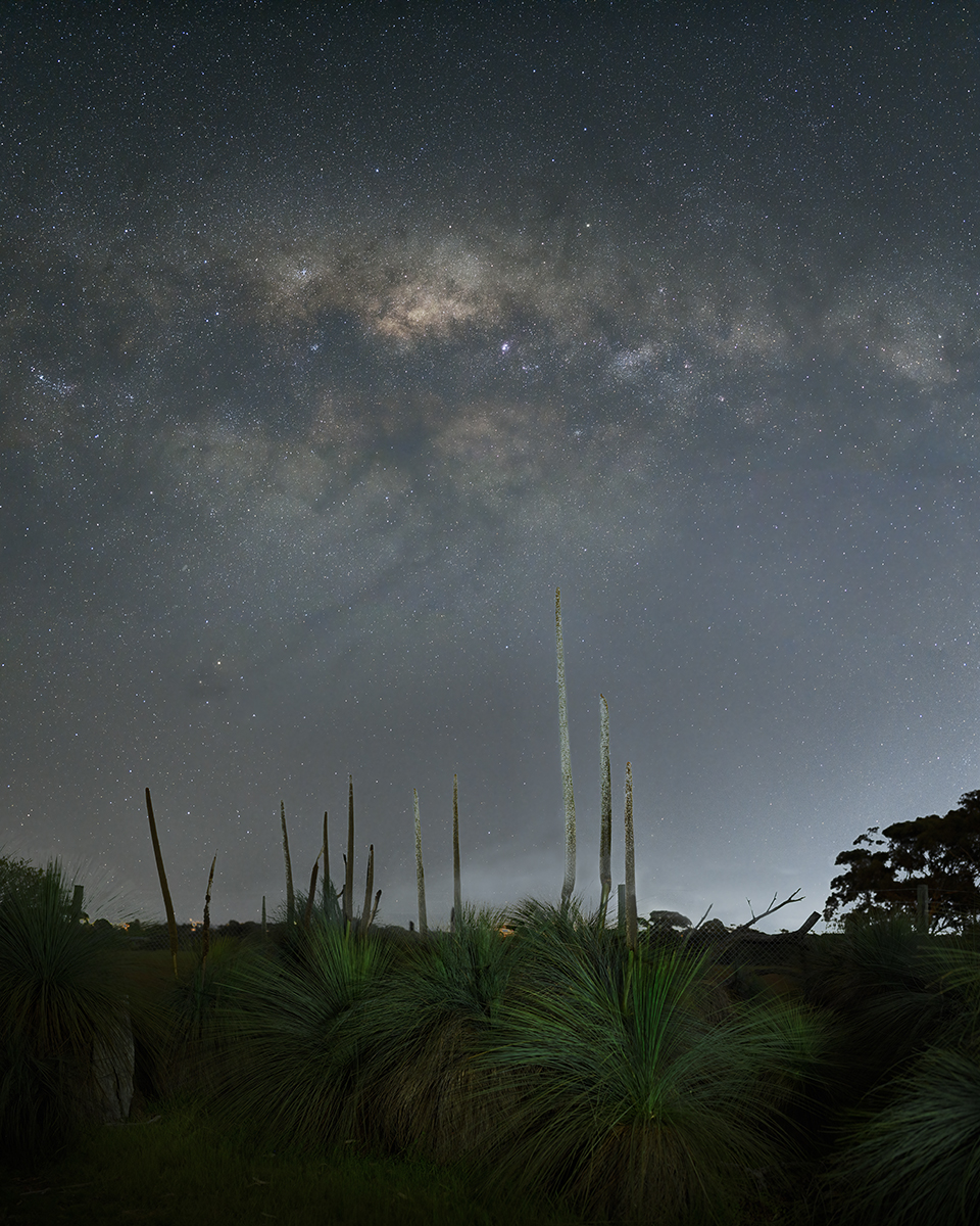 Grass Trees, Milkyway Core, Rho Ophiuchi & Antares.jpg