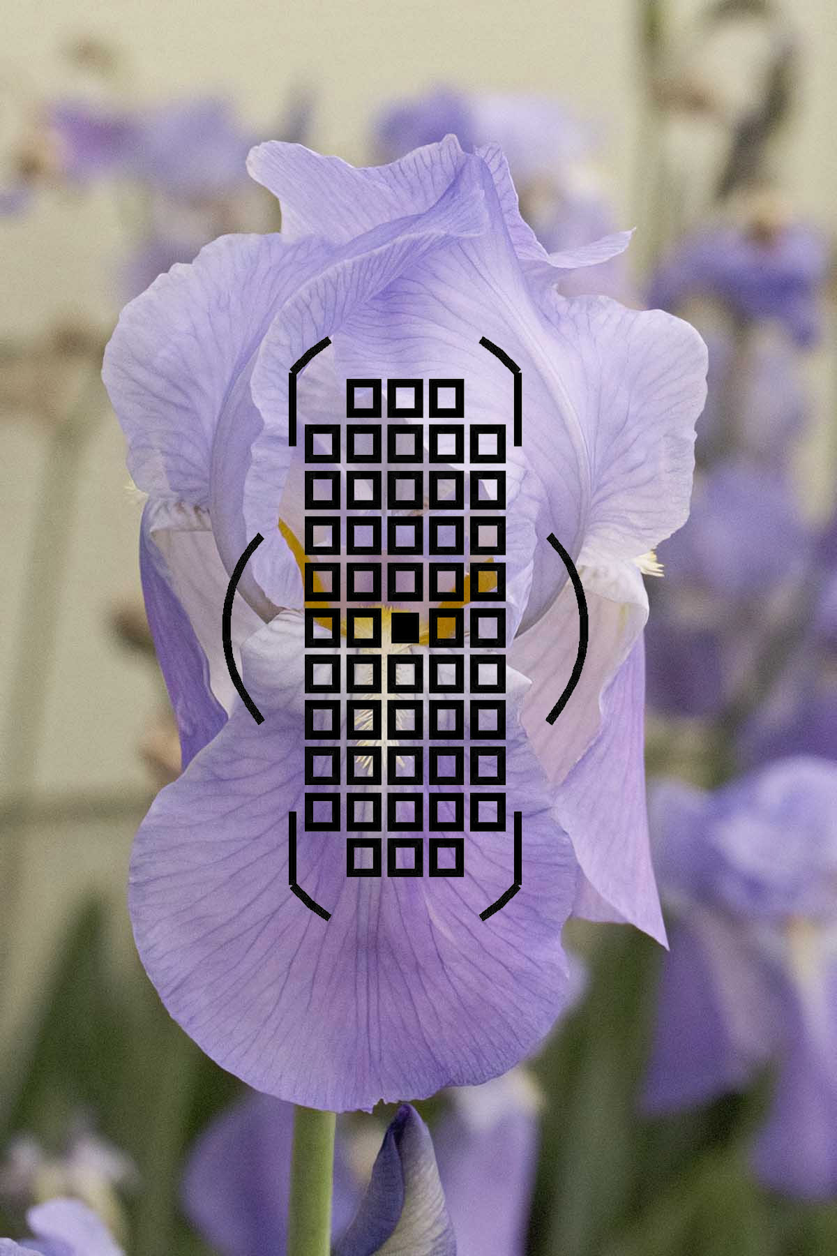 grid-flower1.jpg