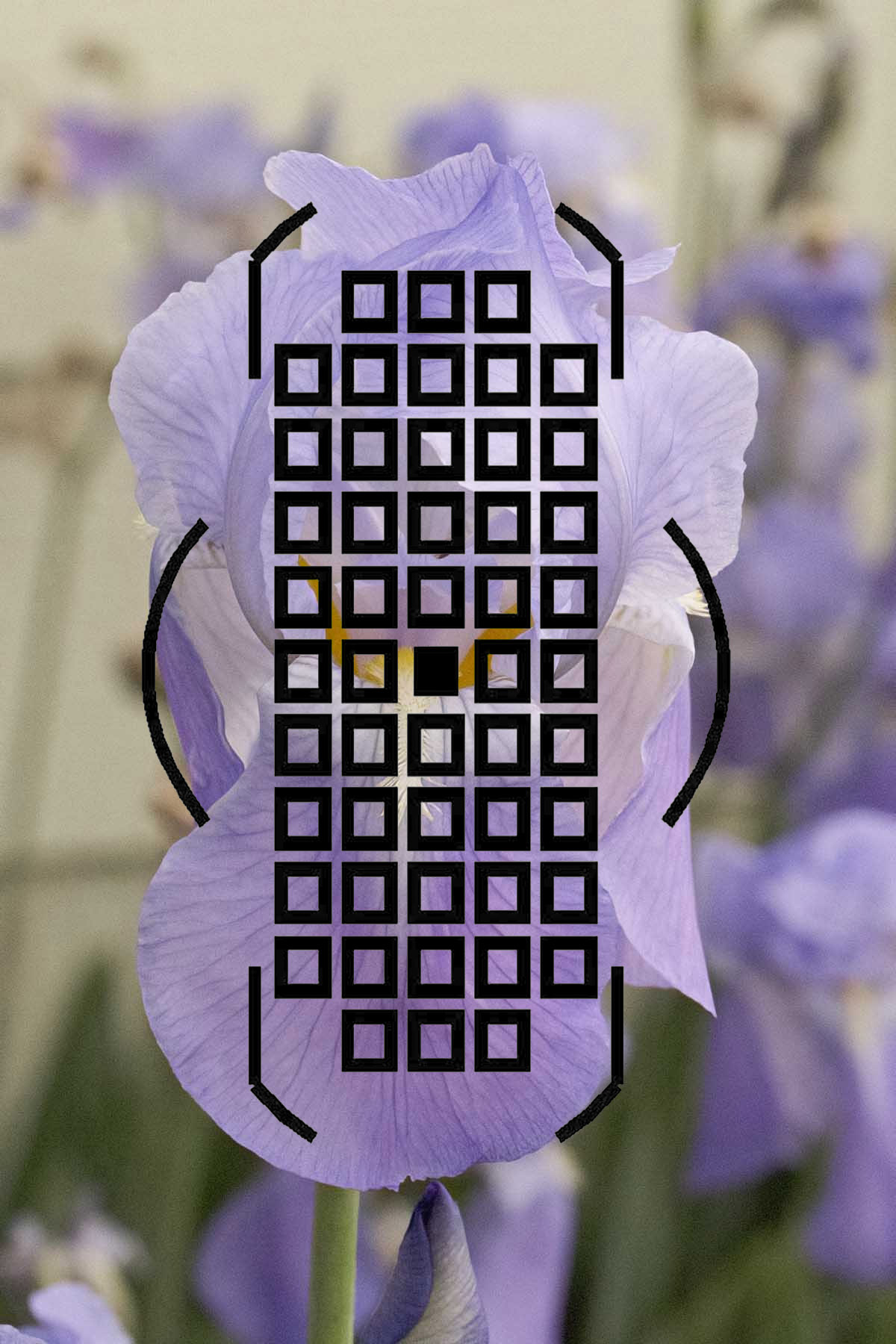 grid-flower2.jpg